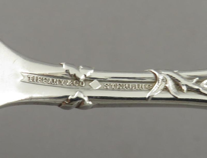 Tiffany Vine Raspberry Silver Sugar Sifter - JH Tee Antiques