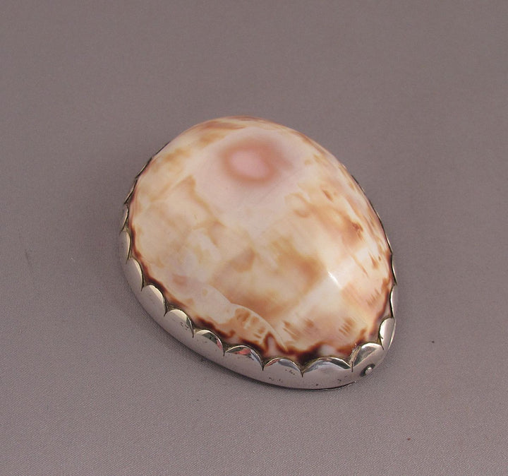 American Silver Cowrie Shell Snuff Box - JH Tee Antiques