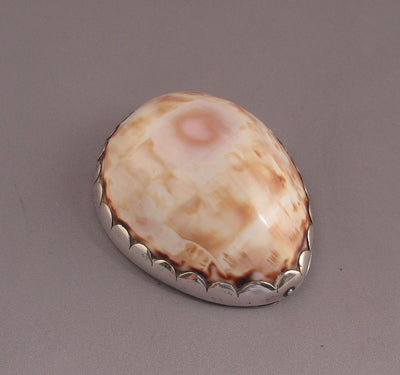 American Silver Cowrie Shell Snuff Box