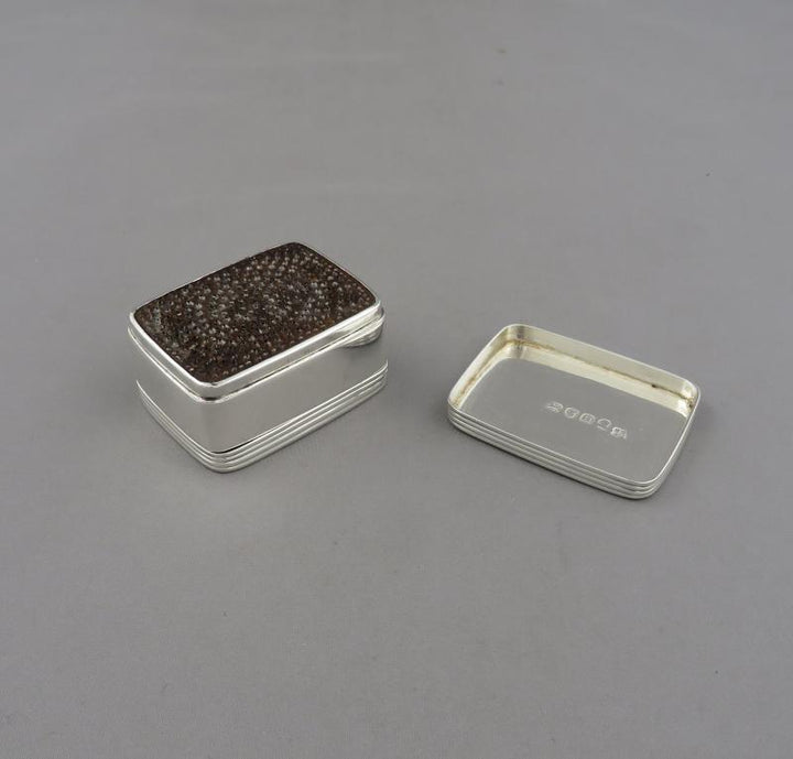 George III Silver Nutmeg Grater - JH Tee Antiques