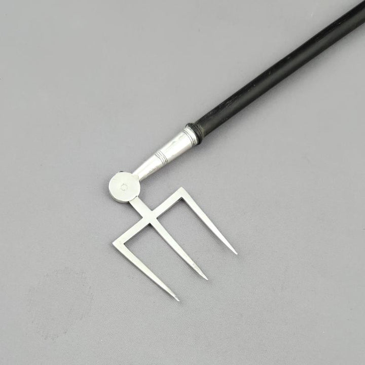 George III SIlver Toasting Fork - JH Tee Antiques