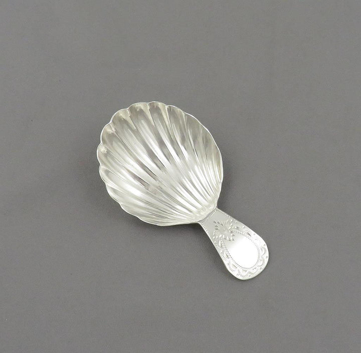 Neoclassical Silver Tea Caddy Spoon - JH Tee Antiques
