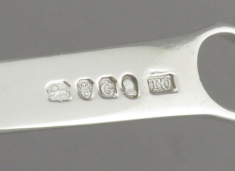 George III Silver Poultry Skewer - JH Tee Antiques